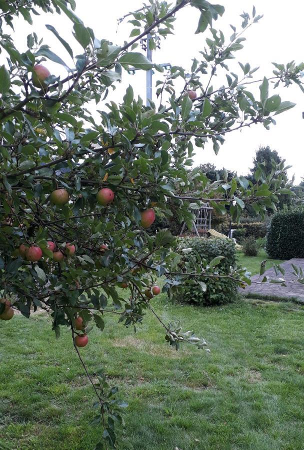 Villa Franzen Derenbach Luaran gambar